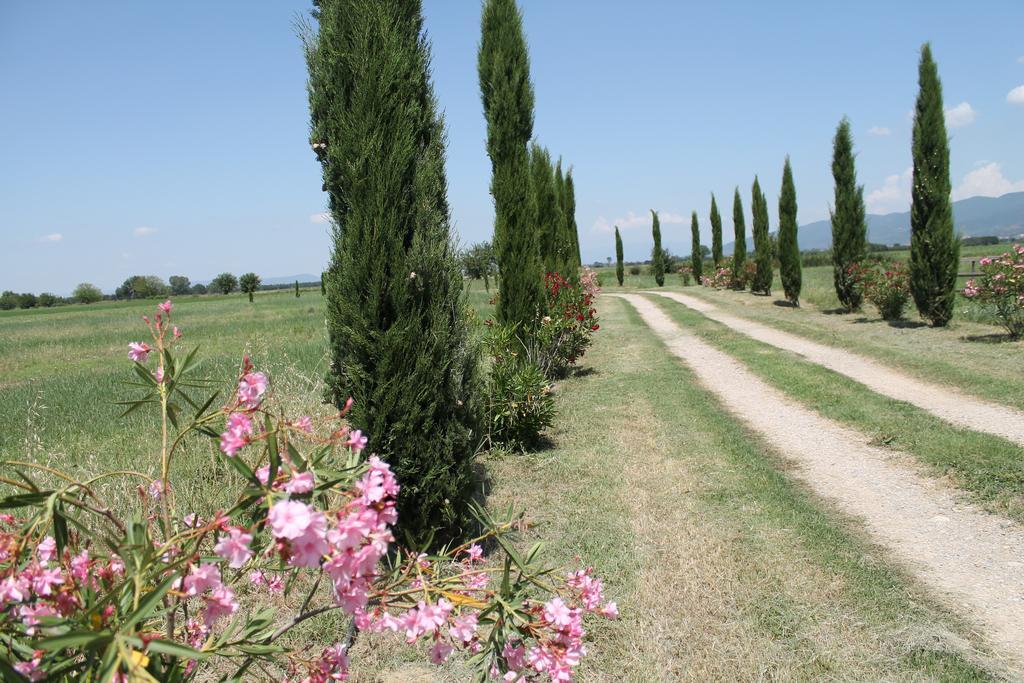 Il Grifone A Cortona Residence Luaran gambar