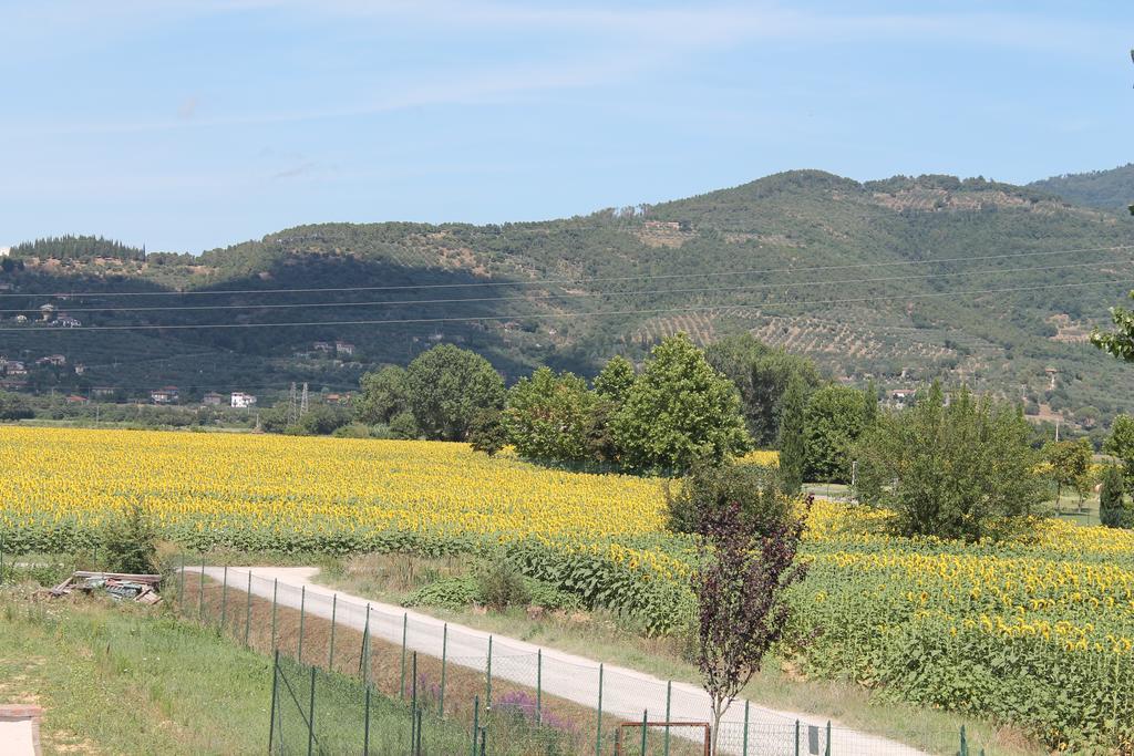 Il Grifone A Cortona Residence Luaran gambar