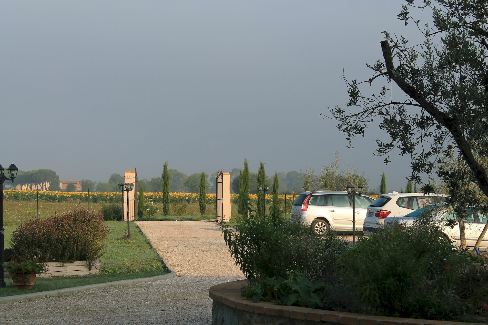 Il Grifone A Cortona Residence Luaran gambar